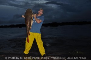 A red tailed catfish in its natural environment in Brazil © Photo by M. Sabaj Pérez, iXingu Project (NSF DEB-1257813)