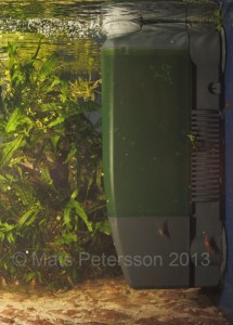 An internal filter in a tropical aquarium