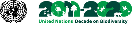 United Nations Decade on Biodiversity copy JPEG