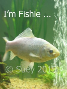 I'm not just a fish - I'm Fishie