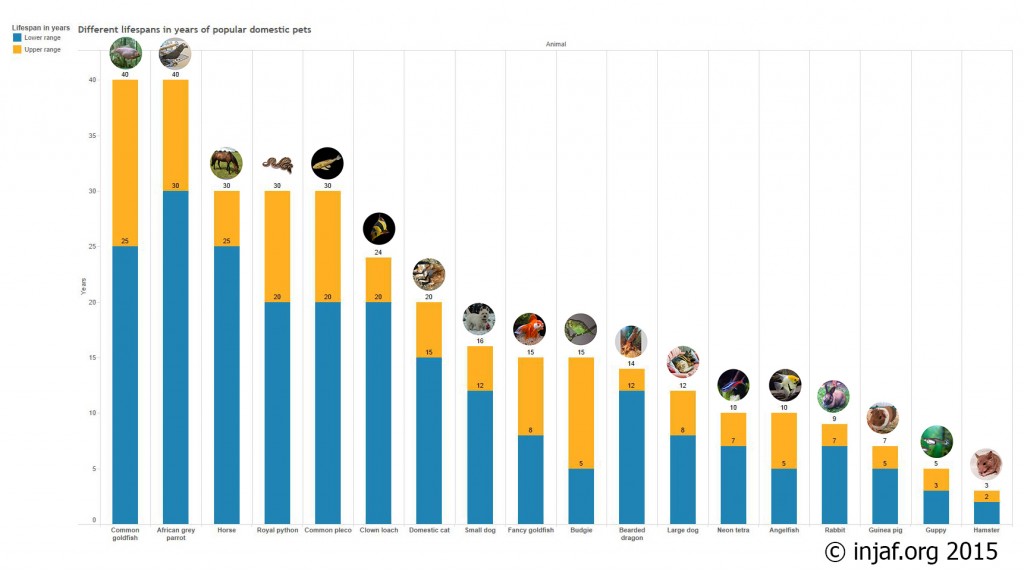 Lifespans of popular domestic pets