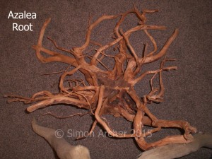 Azalea root is safe for use in aquariums, has an attractive colour and shape