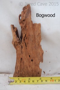 Bogwood is a popular wood for aquarium use