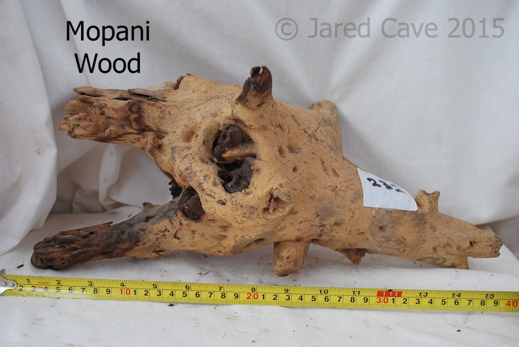 Guide to aquarium wood INJAF