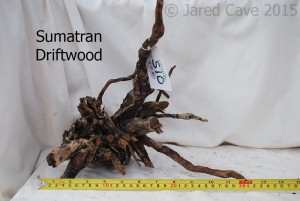 Sumatran driftwood comes in a variety of sizes and makes a nice feature in your aquarium