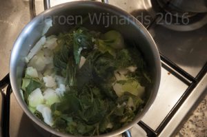 Gathering the ingredients for homemade fish food